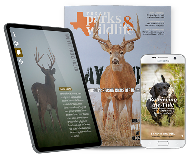 Magazine in print and digital formats