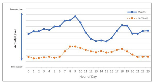 Average daily activity levels chart