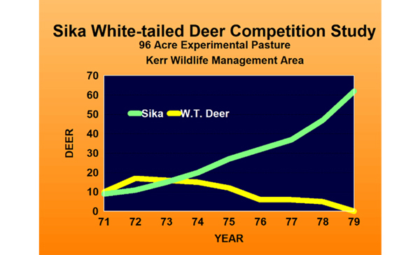 Sika and white-tailed deer competition study chart