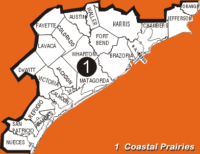 Texas Ecoregion Map; Region 1 -- Coastal Prairies; Counties Listed Below Image.