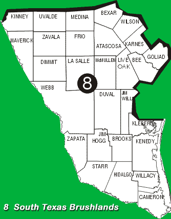 map of texas with counties. Texas Ecoregion Map; Region 8