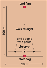 Drawing of transect.
