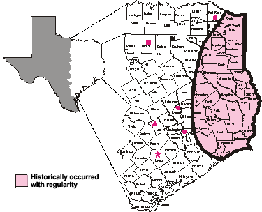 Map of Texas showing historic range of Red-cockaded Woodpecker