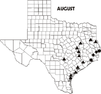 Map of Texas showing counties where sightings of Swallow-tailed Kites for August 1998-data follows.