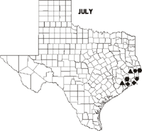 Map of Texas showing Swallow-tailed Kite sightings for July 1998-data follows.