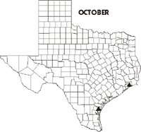 Map of Texas showing Swallow-tailed Kite sightings for October 1998-data follows.