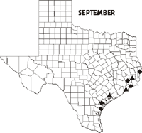 Map of Texas showing Swallow-tailed Kite sightings for September 1998-data follows.