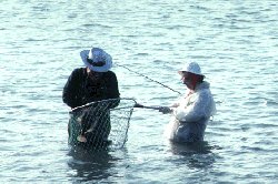 flounder giggers in shallow water