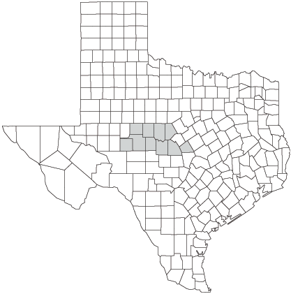 Distribution of the Concho Water Snake (Nerodia
 paucimaculata)