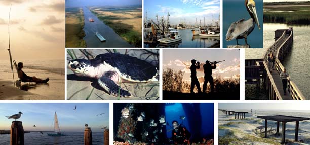 photo collage of beaches, waterways, wildlife and outdoor activities