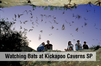 Watching bats at Kickapoo Cavern State Park