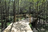 Bridge and Boardwalk Trail at State Park