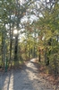 Trailhead Photo With Sunburst at Purtis Creek State Park