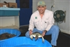 2. 2-7-11 Ruben Chavez Caring for Green Sea Turtle at MDC