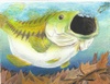 State-fish Art Contest 2008 - 1st Kevin Hopper