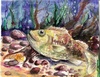 State-fish Art Contest 2008 - 2nd Dominic Nedzelskyi