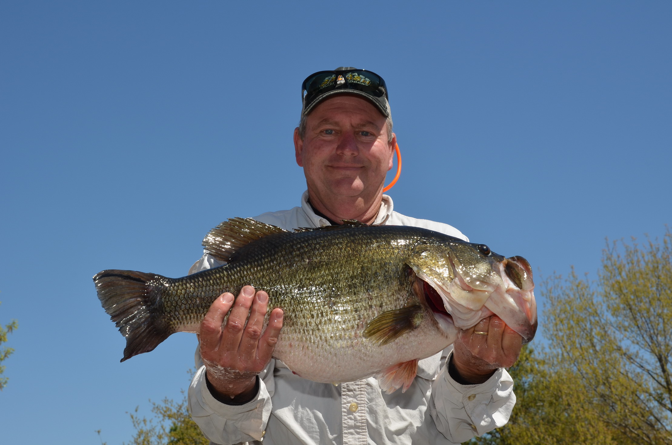 Donald Deville of Ville Platte, Louisiana, caught Toyota ShareLunker 547 from Lake Fork March 20, Larry D. Hodge, © Texas Parks and Wildlife Department
