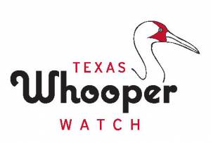 Texas Whooper Watch