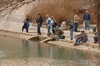 People Fishing at a TPWD Trout Stocking